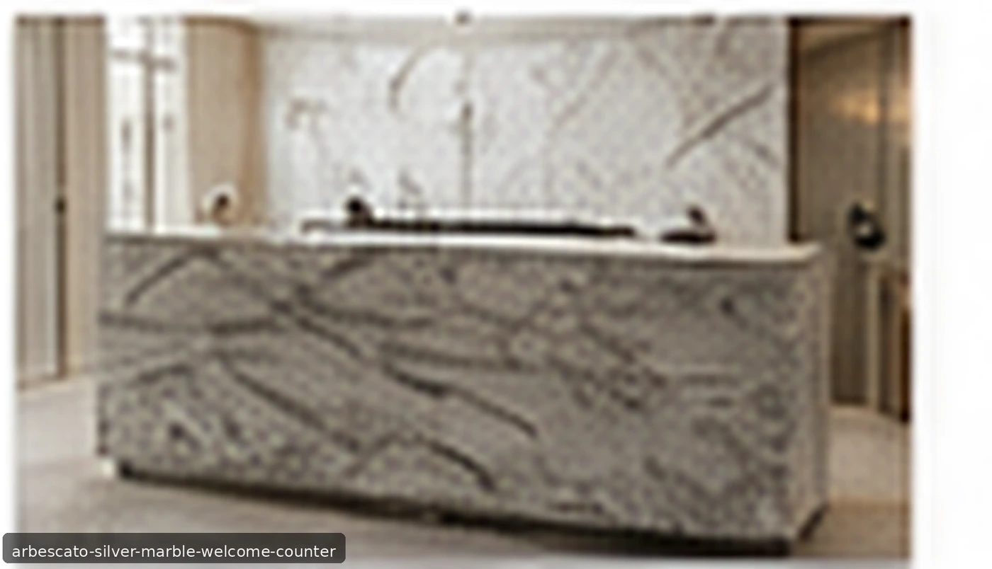 Arbescato Silver Marble welcome counter with silver-grey stone, white veins and charcoal brecciated details.