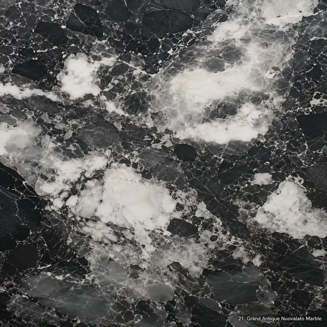 Grand Antique Nuovalato Marble with cloudy black white breccia, luminous islands, graphite fragments and polished depth.