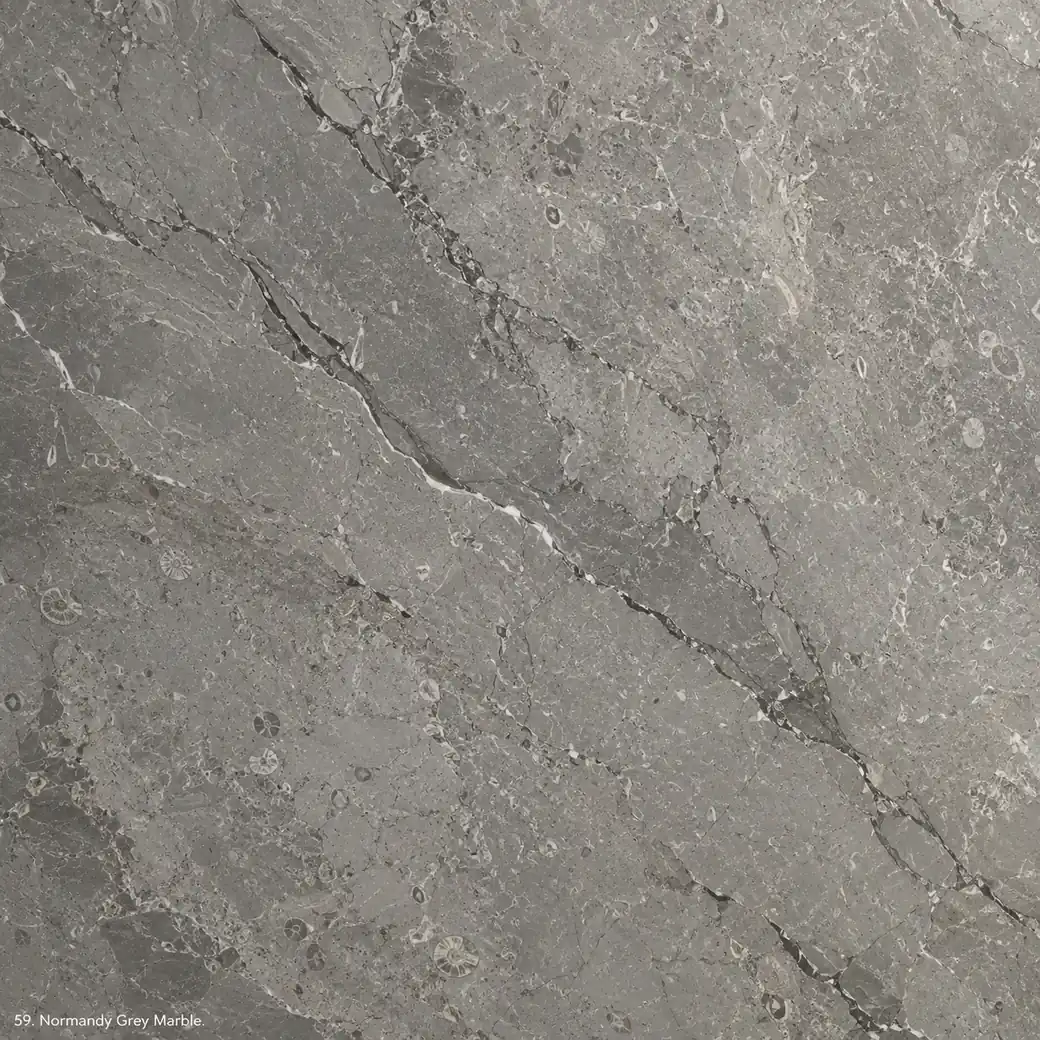 Normandy Grey Marble with soft French grey stone, charcoal veins, fossil details and a refined polished mineral surface.