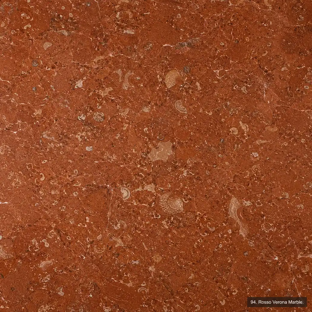 Rosso Verona Marble with warm brick red stone, fine fossil details, cream wisps and a rich polished historic mineral finish.