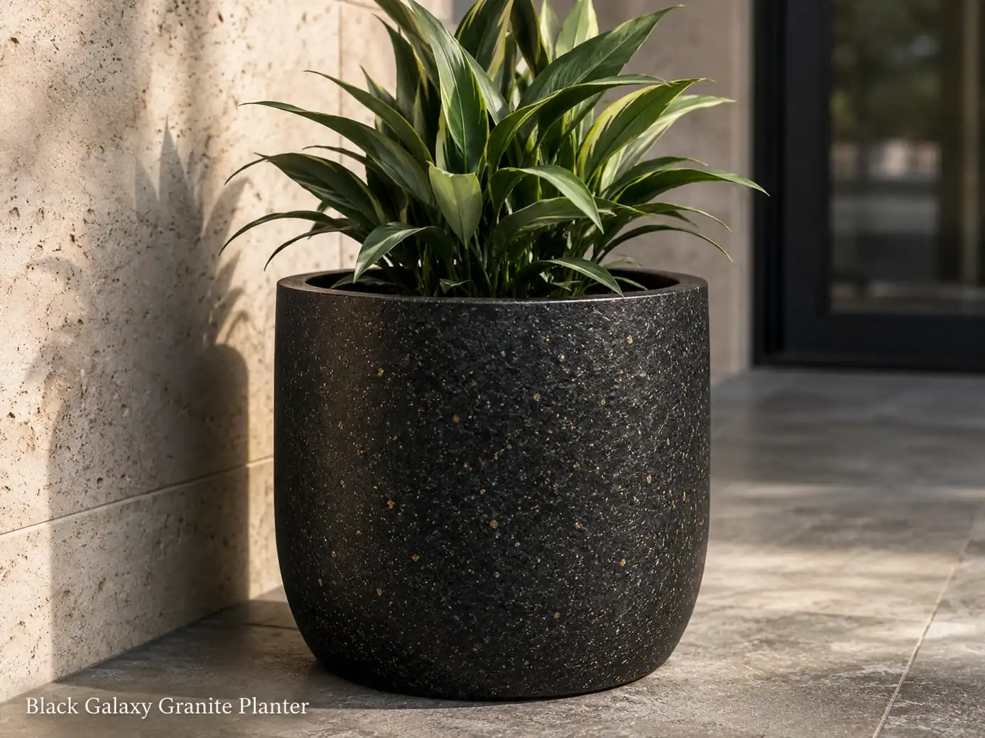 Leathered Black Galaxy granite planter with gold mineral specks, drainage liner and healthy green plant